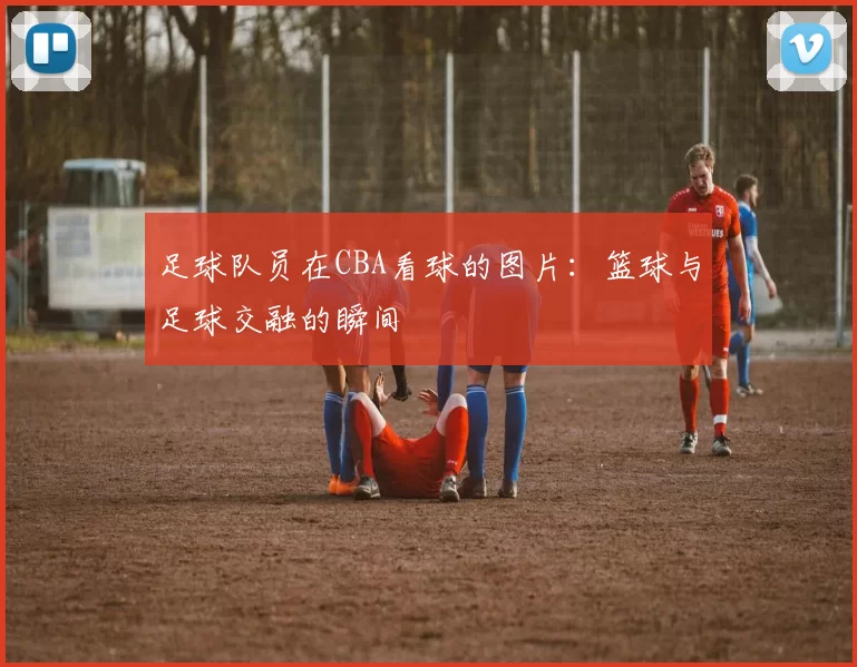 足球队员在CBA看球的图片：篮球与足球交融的瞬间