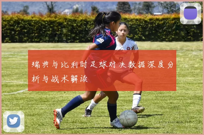 瑞典与比利时足球对决数据深度分析与战术解读