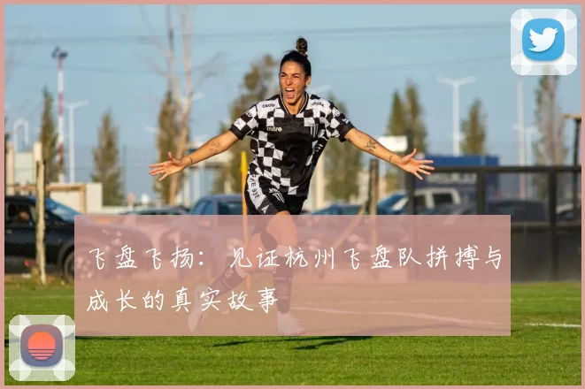 飞盘飞扬：见证杭州飞盘队拼搏与成长的真实故事