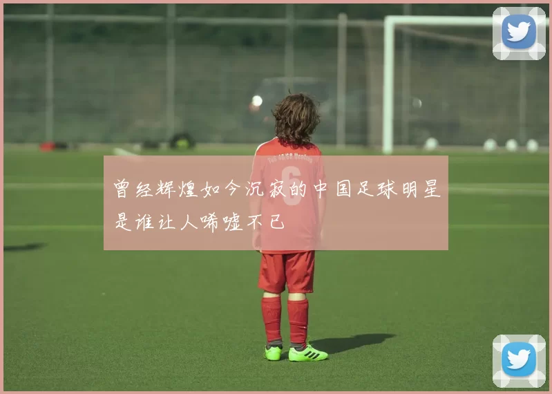 曾经辉煌如今沉寂的中国足球明星是谁让人唏嘘不已