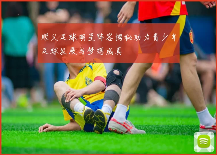 顺义足球明星阵容揭秘助力青少年足球发展与梦想成真