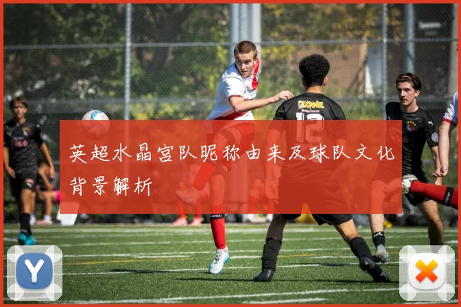 英超水晶宫队昵称由来及球队文化背景解析