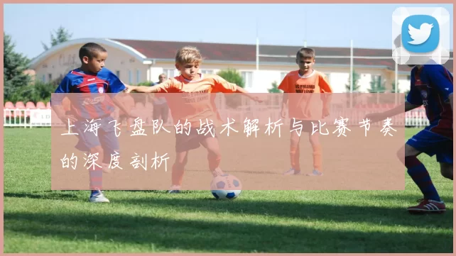 上海飞盘队的战术解析与比赛节奏的深度剖析