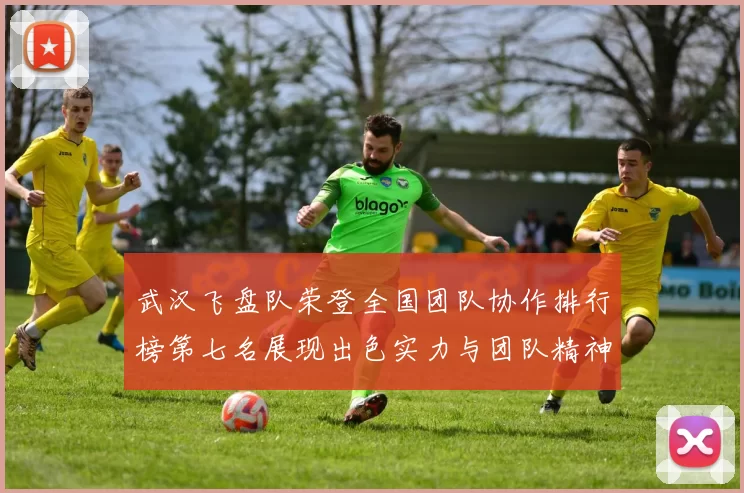 武汉飞盘队荣登全国团队协作排行榜第七名展现出色实力与团队精神