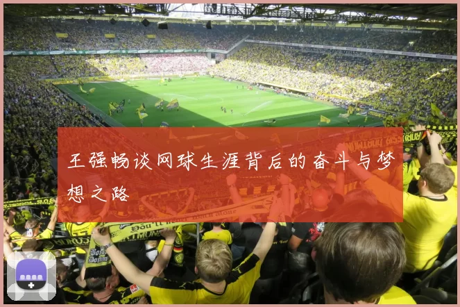 王强畅谈网球生涯背后的奋斗与梦想之路