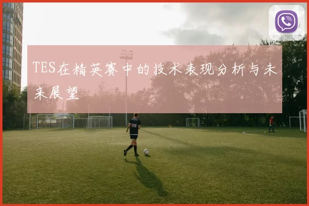 TES在精英赛中的技术表现分析与未来展望