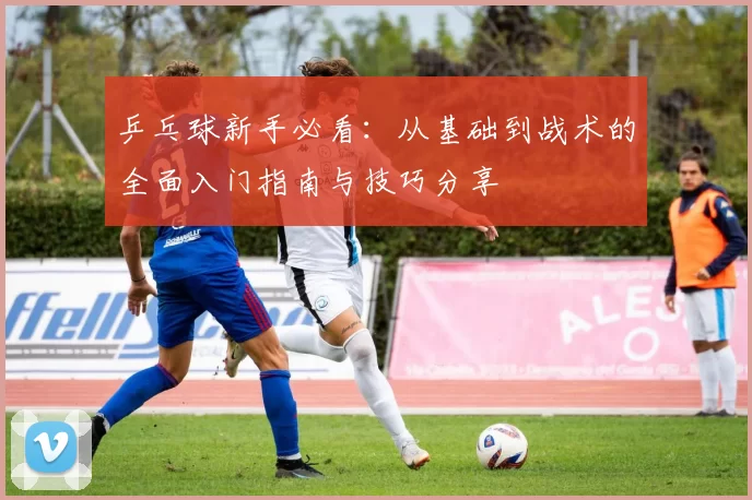 乒乓球新手必看：从基础到战术的全面入门指南与技巧分享