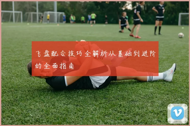 飞盘配合技巧全解析从基础到进阶的全面指南