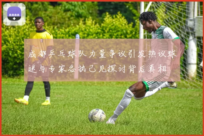 成都乒乓球队力量争议引发热议球迷与专家各执己见探讨背后真相