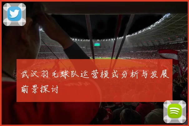 武汉羽毛球队运营模式分析与发展前景探讨