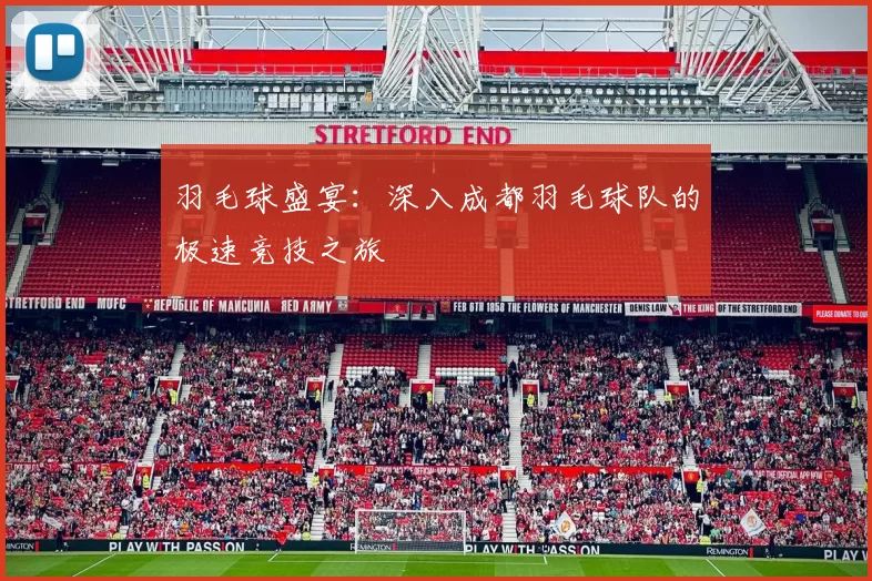 羽毛球盛宴：深入成都羽毛球队的极速竞技之旅