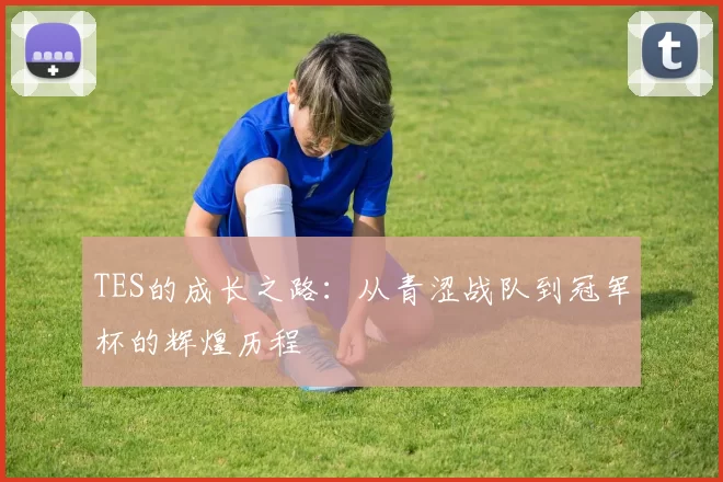 TES的成长之路：从青涩战队到冠军杯的辉煌历程