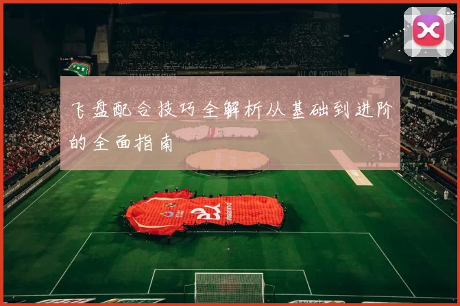 飞盘配合技巧全解析从基础到进阶的全面指南