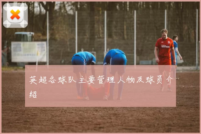 英超各球队主要管理人物及球员介绍