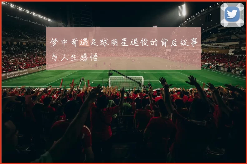 梦中奇遇足球明星退役的背后故事与人生感悟