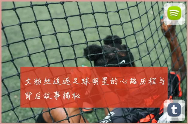 女粉丝追逐足球明星的心路历程与背后故事揭秘
